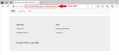 Public DNS