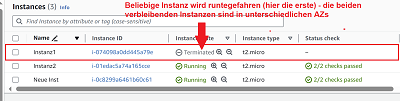 Instanz terminiert